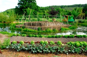 permaculture