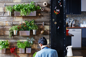 Indoor gardening ikea