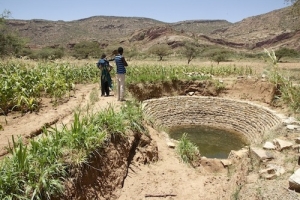 L’Ethiopie est aux prises avec la pire sécheresse quelle ait connue en 50 ans