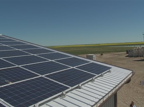 ferme-ecologique-brant-alberta