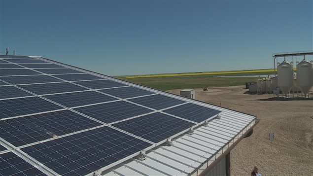 ferme-ecologique-brant-alberta