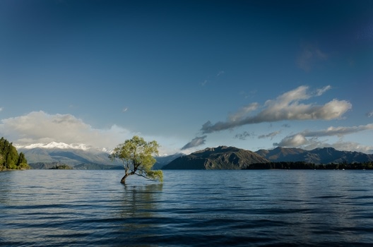 sea-mountains-nature-water-medium