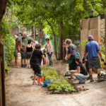 Eco Quartiers Montreal