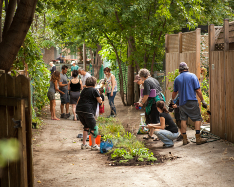 Eco Quartiers Montreal