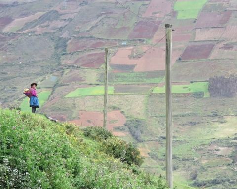 ITYF Peru