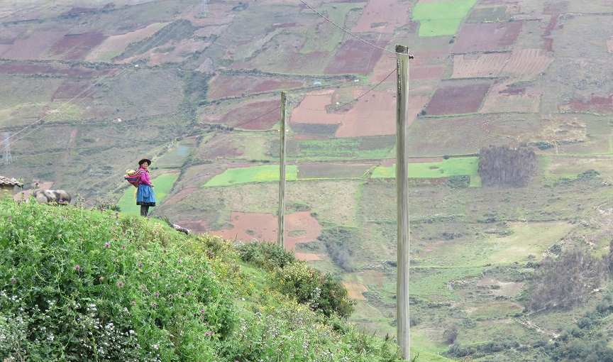 ITYF Peru