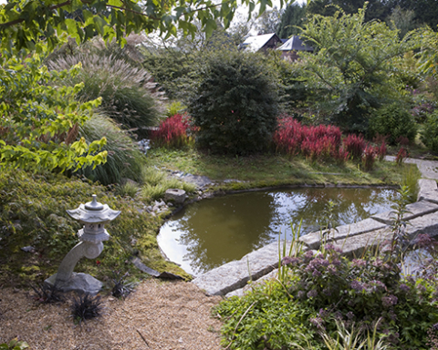 Pont passerelle en granit, Imperata cylindrica 'Red Dragon', Prunus incisa 'Kojo No Mai', Schoenoplectus