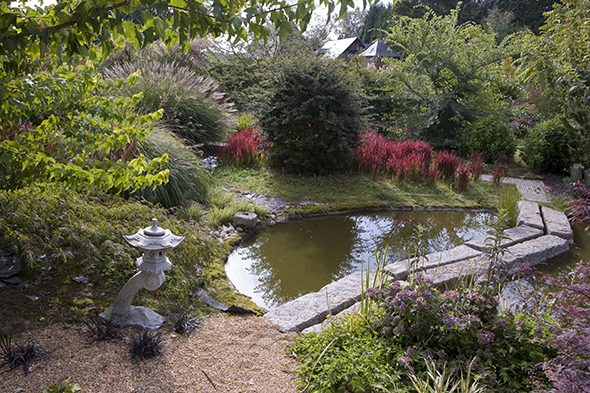 Pont passerelle en granit, Imperata cylindrica 'Red Dragon', Prunus incisa 'Kojo No Mai', Schoenoplectus