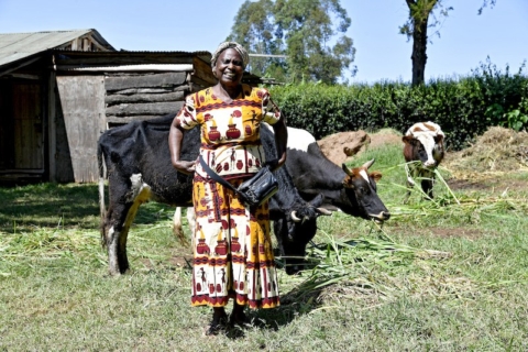 Kenya_Livelihoods fr